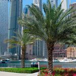 Registration of company in the UAE — types of companies and licenses